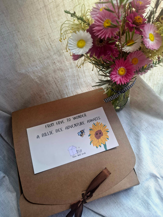 Billie Bee Discovery Box