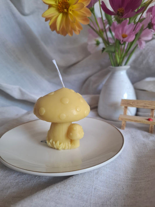Enchated Mushroom