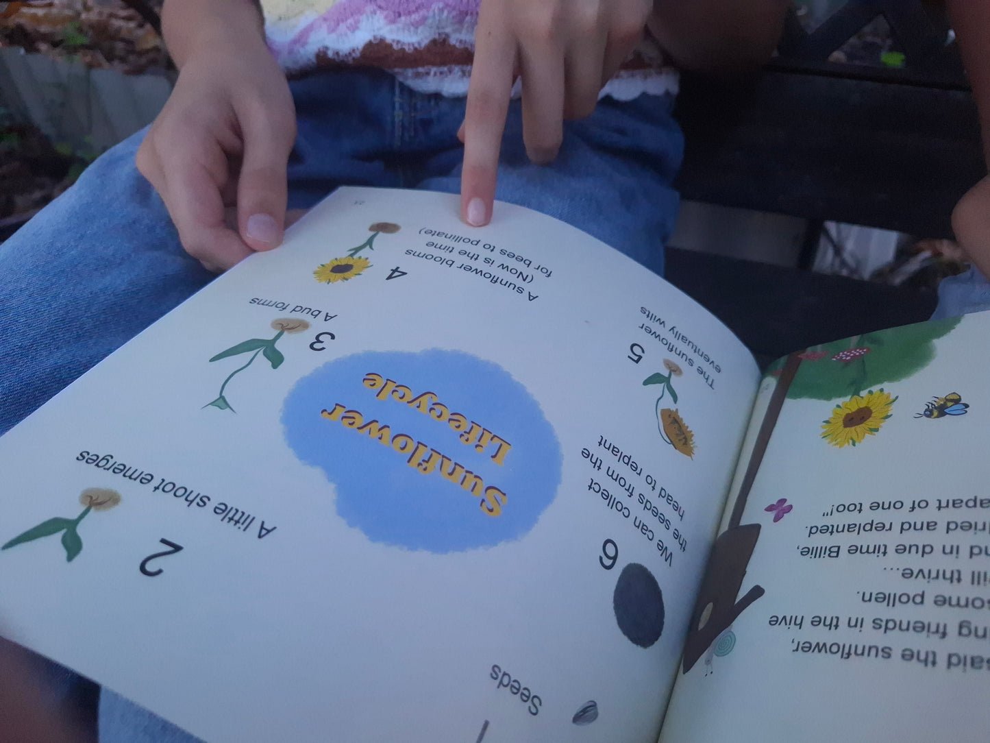 Billie Bee Children's Story