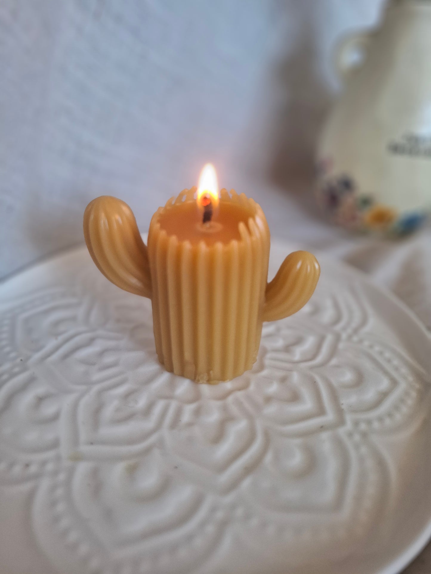 Cactus Candle Collection