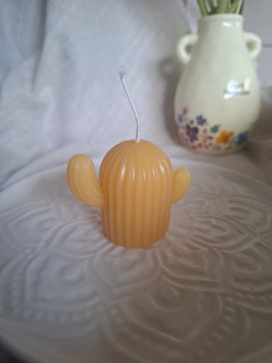 Cactus Candle Colelction