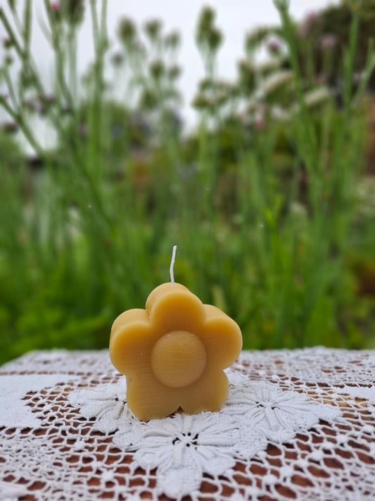 Medium Daisy Beeswax Candle