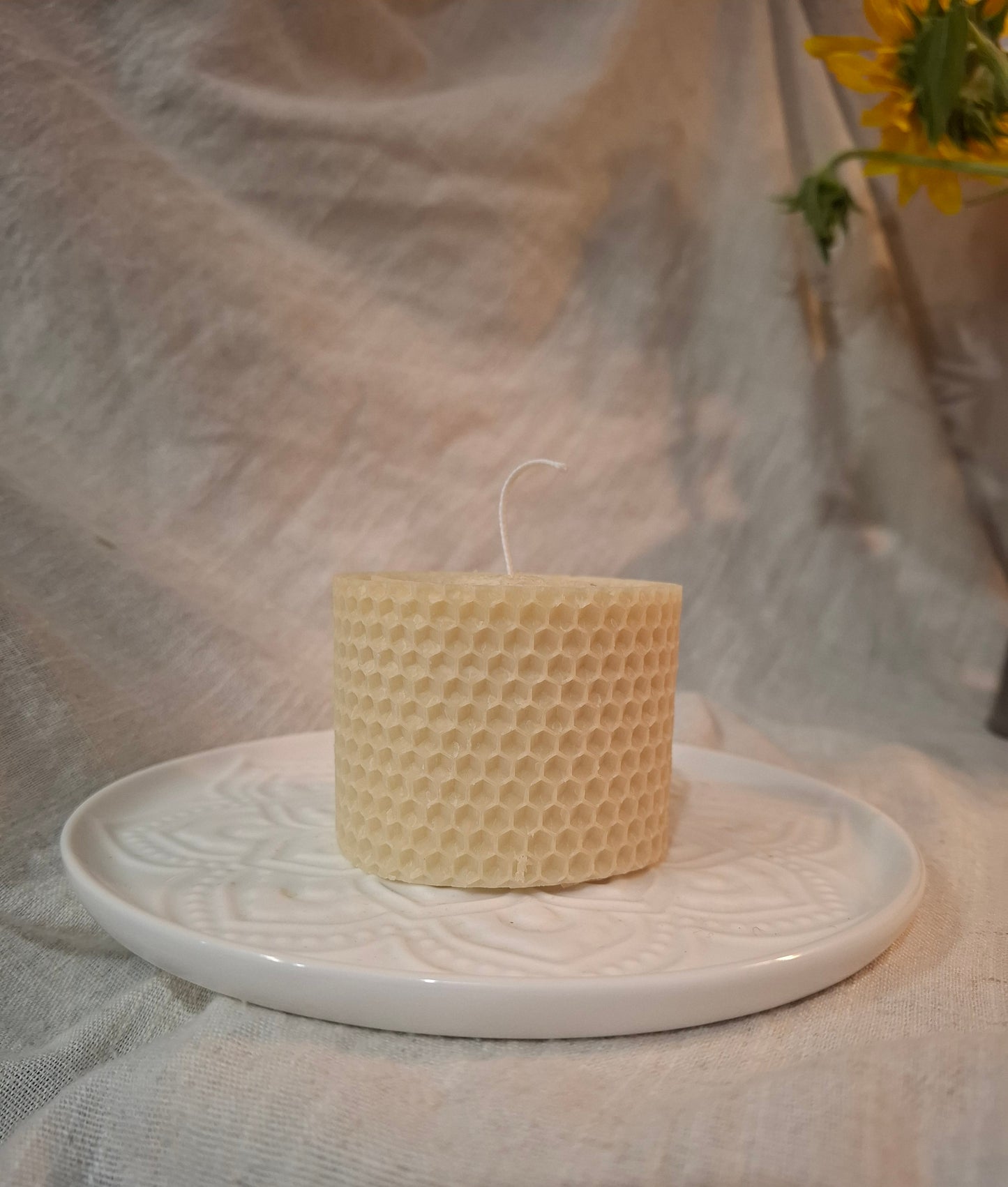 Rolled Beeswax Collection