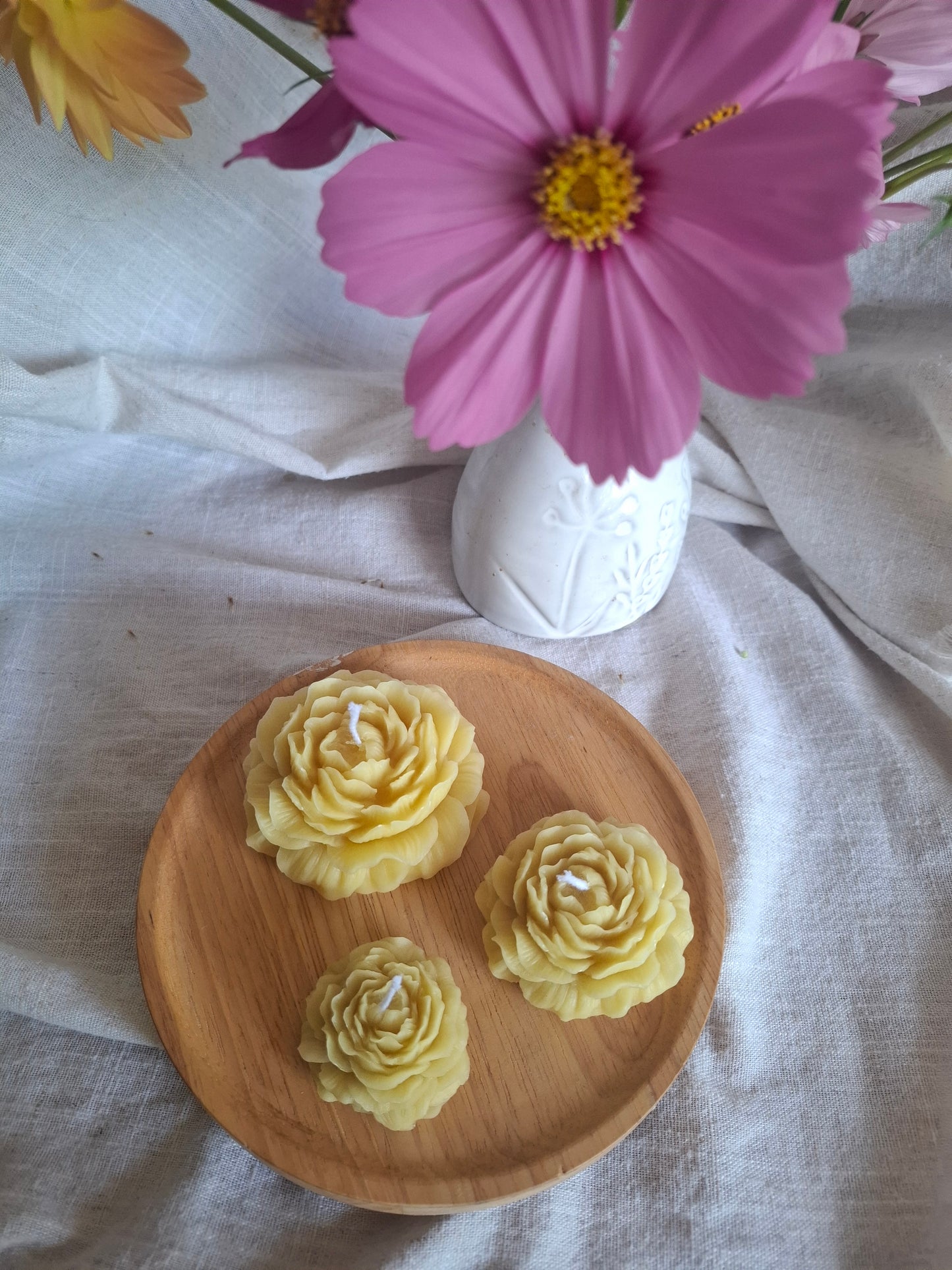 Rose Collection