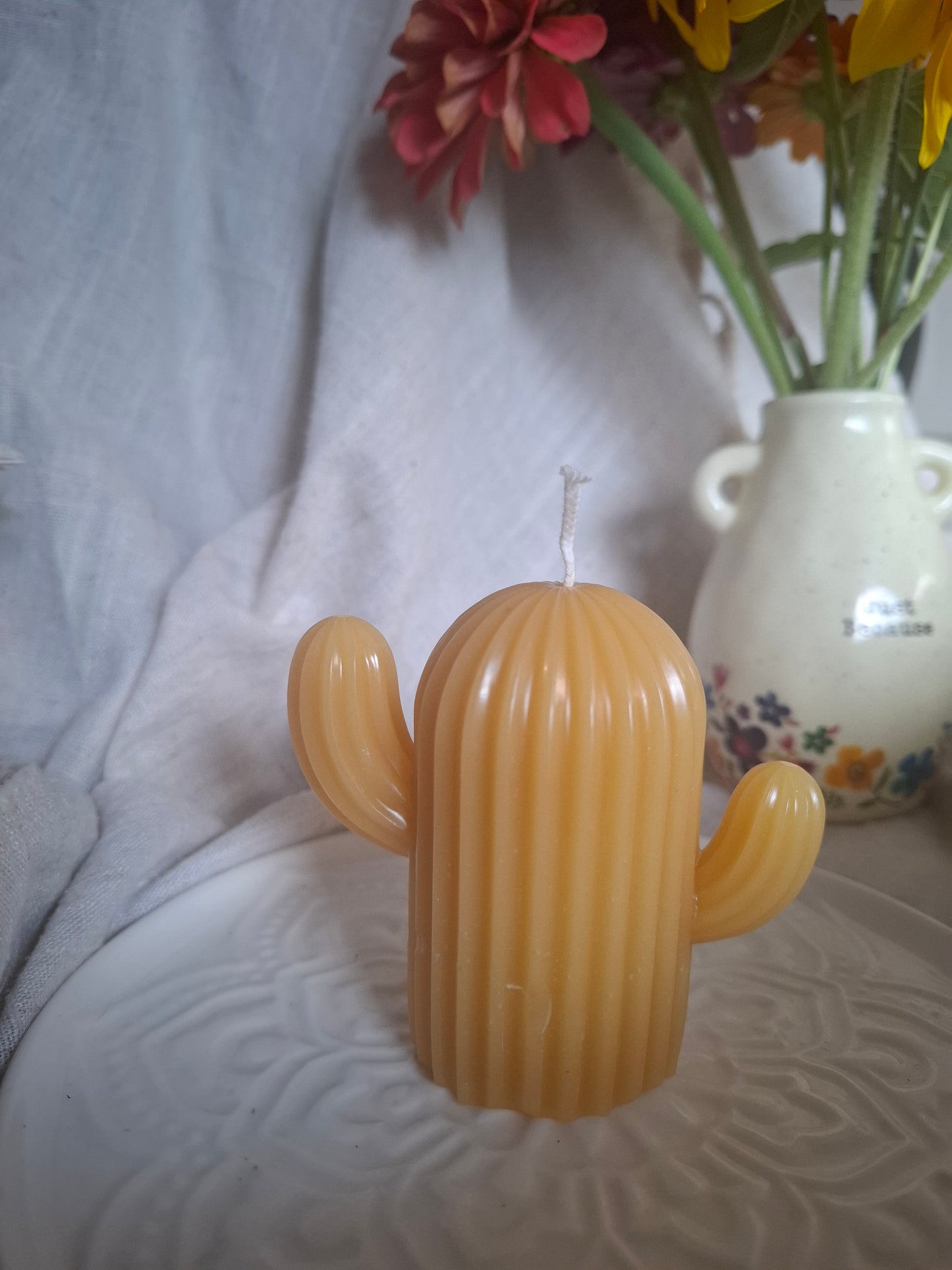 Cactus Candle Collection
