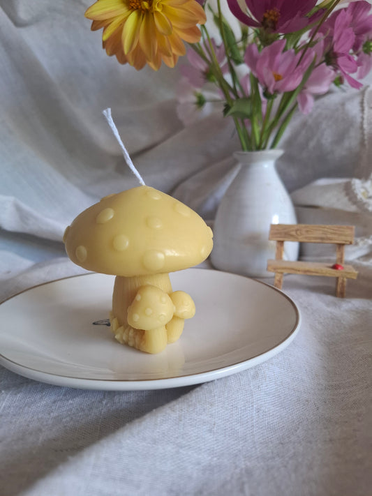 Enchated Mushroom