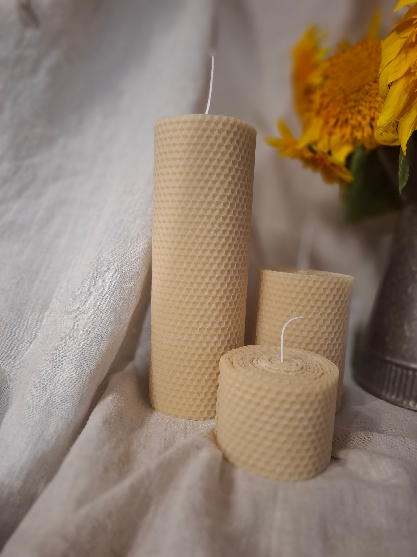 Rolled Beeswax Collection