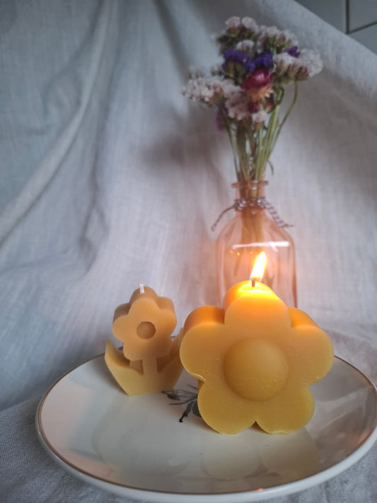 Medium Daisy Beeswax Candle