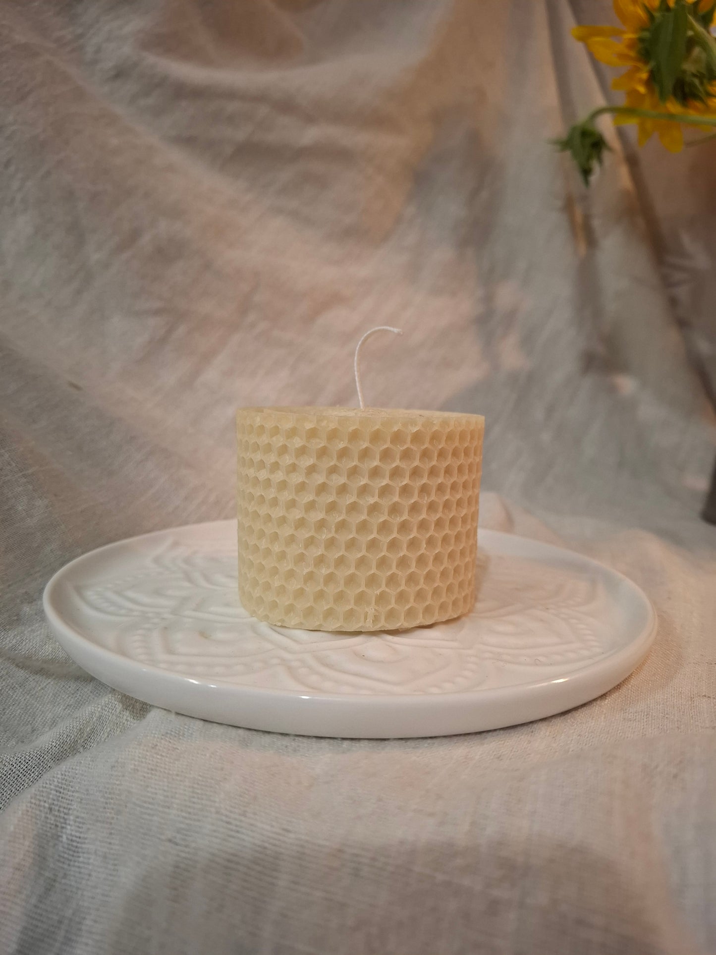 Rolled Beeswax Collection