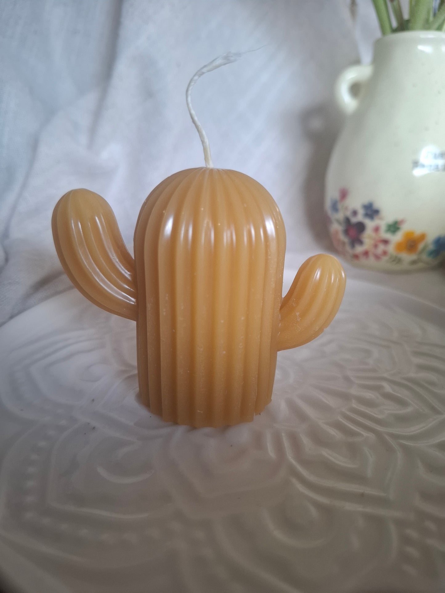 Cactus Candle Collection