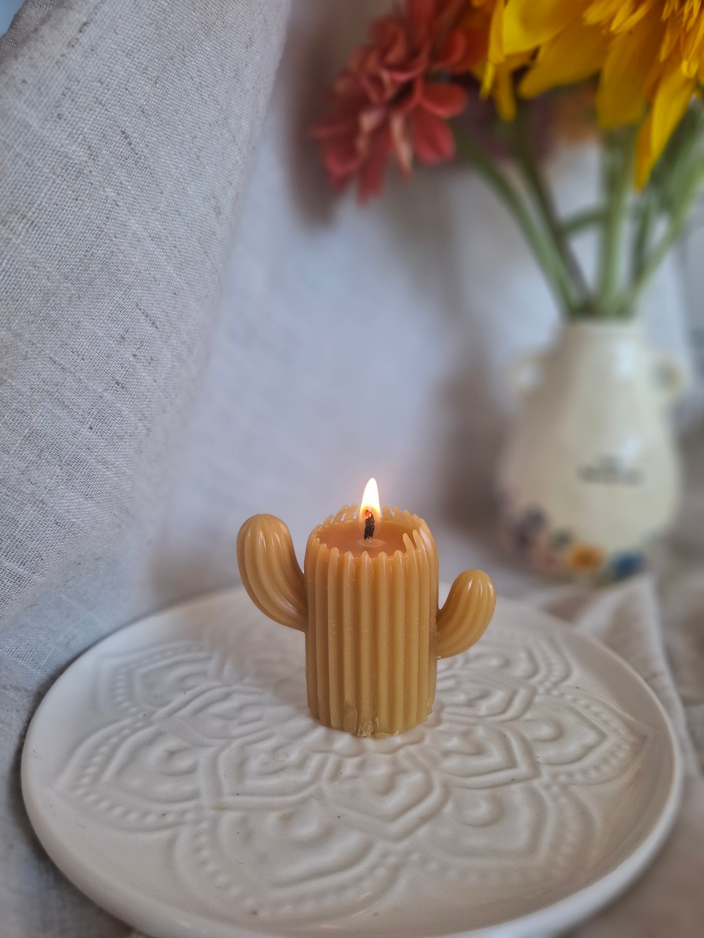 Cactus Candle Collection