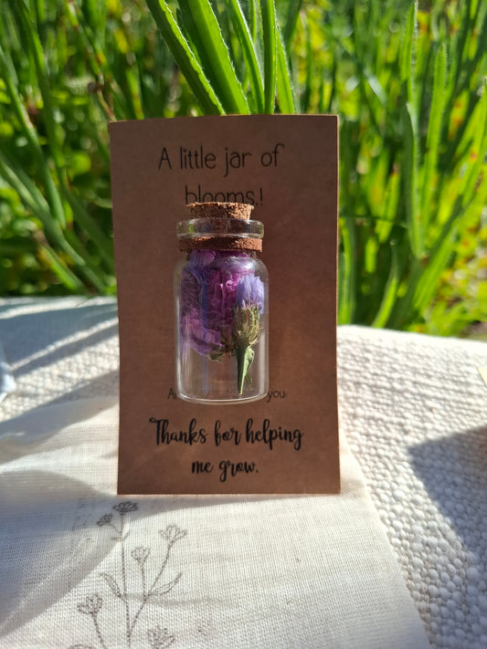 Mini Message in a Bottle