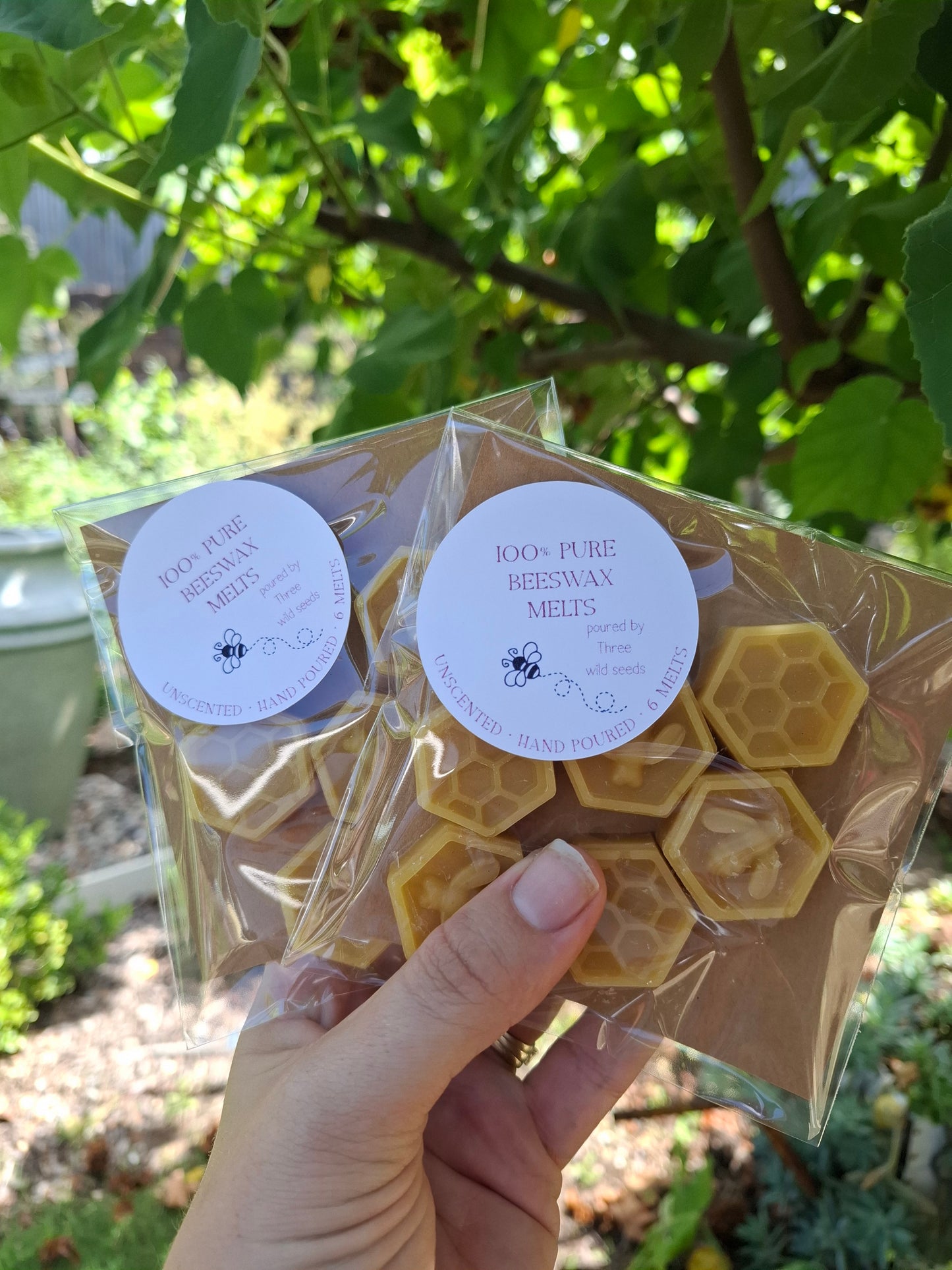 Beeswax Melts - Pack of 6