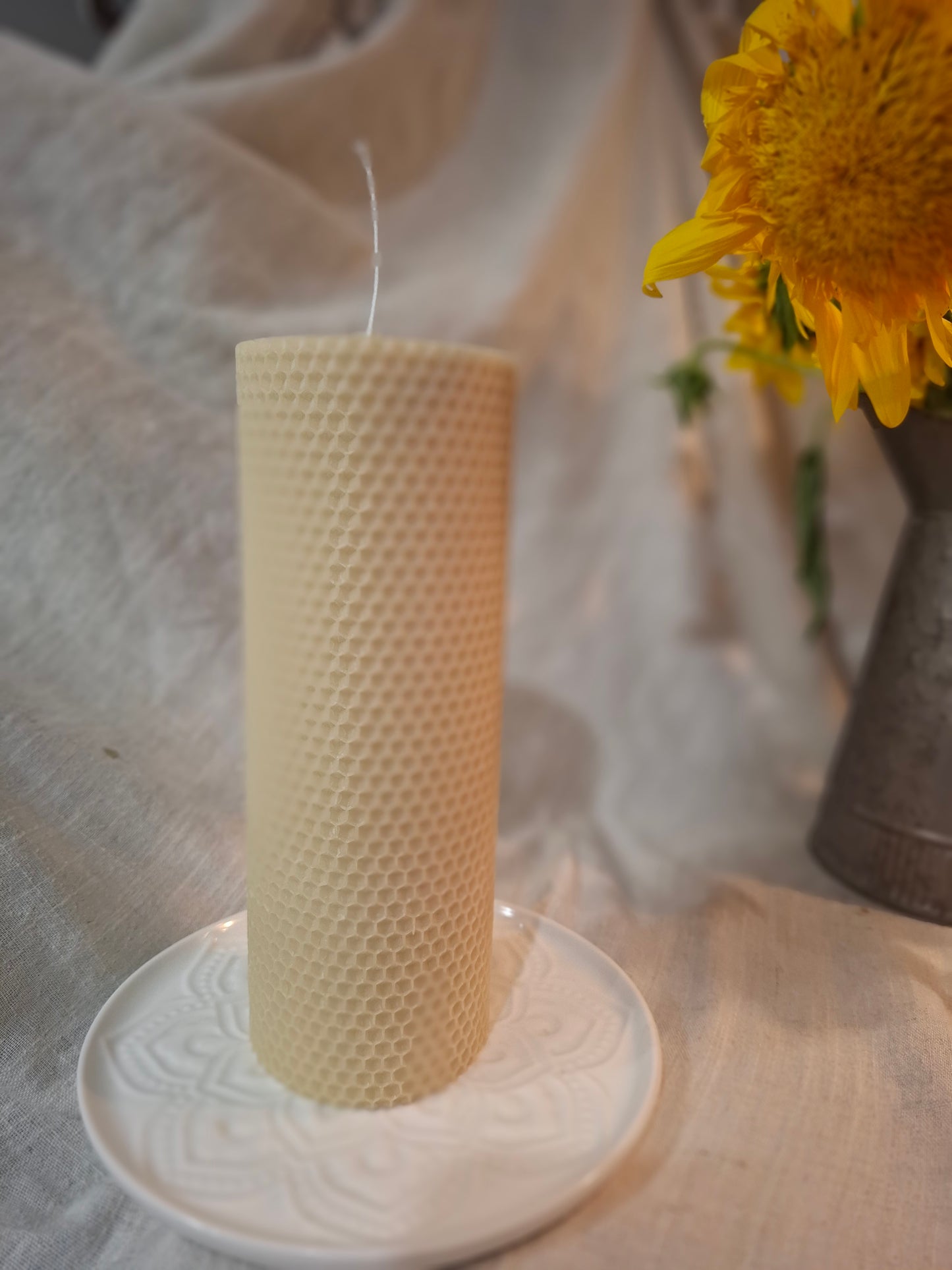 Rolled Beeswax Collection