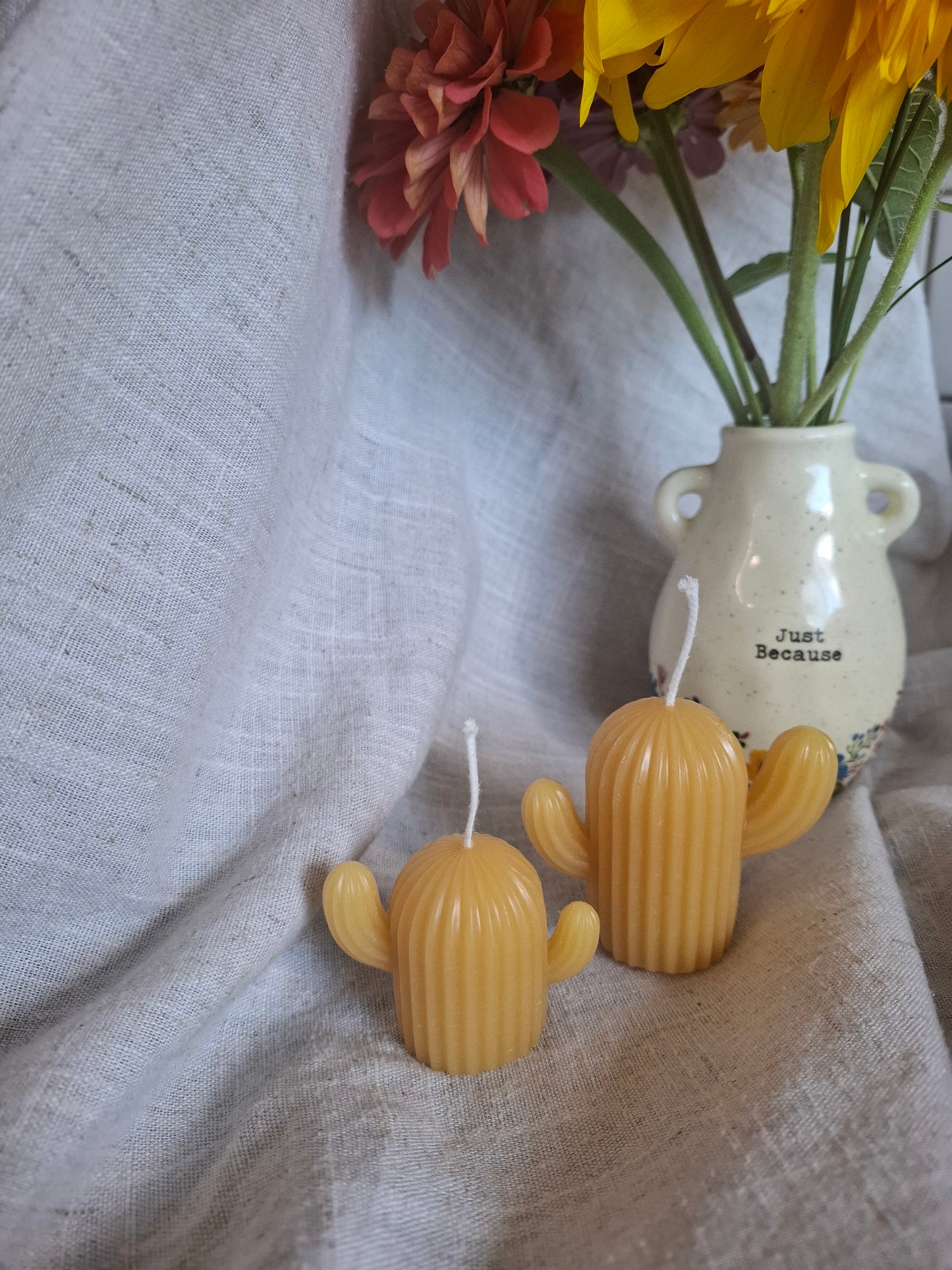 Cactus Candle Collection